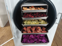2025 nouveau 6 plateaux 10kg lyophilisé cubes de yaourt lait lyophilisateur alimentaire ménage lyophilisateur