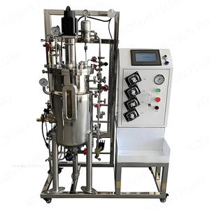 Bioreaktor-Fermenter-Fermenter aus rostfreiem Stahl für Zellkultur und Fermentation - Product Image 5