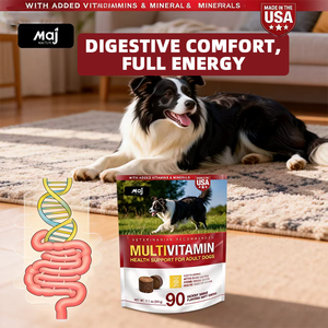 Suplemento Multivitamínico de Marca Privada <span class=keywords><strong>para</strong></span> <span class=keywords><strong>Perros</strong></span>, Suplemento <span class=keywords><strong>para</strong></span> el Cuidado de la Salud de las Mascotas, Masticables Blandos con Probióticos y Vitaminas <span class=keywords><strong>para</strong></span> <span class=keywords><strong>Perros</strong></span> - Product Image 5