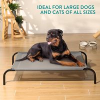 Star Pets Resin Wicker Erhöhtes Haustier bett Ortho pä discher Roboter Gelbes Dreieck Design Kostenlose Proben aus Schaum und Polyester