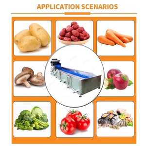 Linea di Pulizia per Frutta e Verdura Leadworld Lavatrice per Ananas Arancia Mango Aglio Mela Pomodoro Patate - Product Image 6