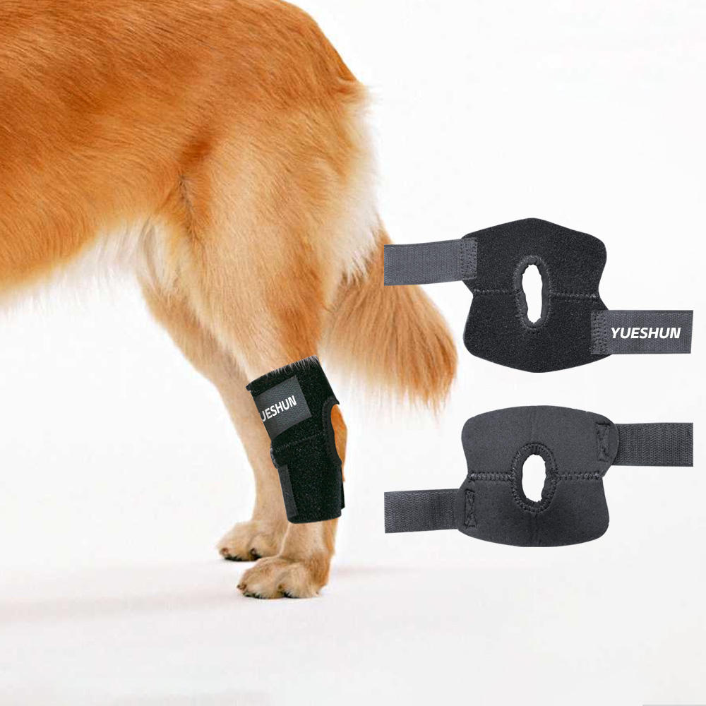 Neoprene Dog Knee Brace Adjustable Support for ACL Recovery