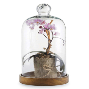 Personalizado grande claro flor flores <span class=keywords><strong>bonsai</strong></span> terrario plantas de flor cúpula - Product Image 1