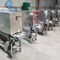 Machine à éplucher l'ail, ligne de production de poudre d'ail, éplucheur d'ail électrique