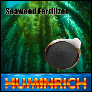 Huminric Varech Source les éléments Nutritifs Des Plantes Acide Humique Algues Élèvent La Stimulant - Product Image 3