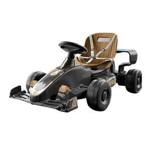 Kart à pédales pour enfants, à essence, 2 temps, homologué pour la route, avec barrière de piste électrique, mini-camions, kit volant - Product Image 3