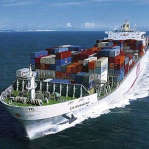 중국에서 UAE로 가는 비용 효율적인 FCL 해상 운송, 빠른 배송 및 24시간 지원 - 도어 투 도어 풀 컨테이너 적재 서비스 - Product Image 2