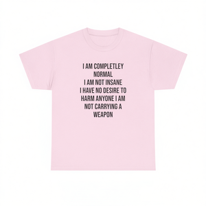 Camiseta Divertida con Diseño de Meme, Ironicamente Sarcástica, con un Diseño Divertido y Atroz, Ropa Promocional - Product Image 2