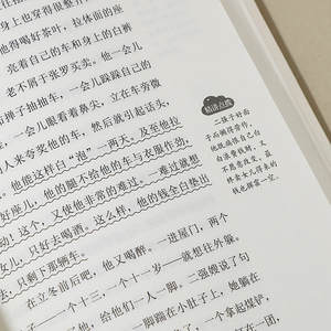 Collezione Completa di Letture Classiche per Studenti delle Scuole Medie Opere Complete di Lu Xun Quattro Grandi Romanzi (Viaggio in Occidente, Acqua) - Product Image 4