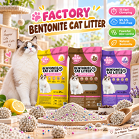 Litière pour chat en gros, prête à l'emploi, 25 kg, Arena Para Gato Bentonita, avec emballage personnalisé OEM pour commandes de marques