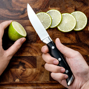 <span class=keywords><strong>Ensemble</strong></span> de couteaux de cuisine en acier inoxydable 3Cr13 personnalisable couteaux de chef japonais tranchants avec manche en ABS pour viande, fruits et légumes - Product Image 5