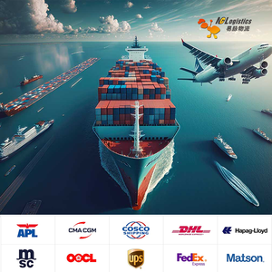 中国到法国的货运代理门到门海运/空运国际物流运输代理 - Product Image 2