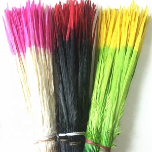Mẹo Màu 50-55Cm Hai <span class=keywords><strong>Tone</strong></span> Ringneck Gà lôi Đuôi Lông Cho Lễ Hội Samba Lễ Hội Trang Phục Trang Trí - Product Image 4