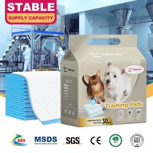 Disposable Puppy Pad Bulk Buy Fast Lead Time Heavy Duty 5-Layer Protection Factory - Product Image 1