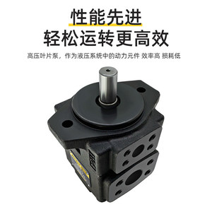 ปั๊มไฮดรอลิก Keileto Vane รุ่น Pv2r1-31-Fr แรงดันสูงสุด 21 Mpa - Product Image 5