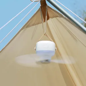 Led Bldc Modern ışık ve uzaktan pil avize açık akıllı kablosuz fanlar şarj edilebilir tavan kamp fanı