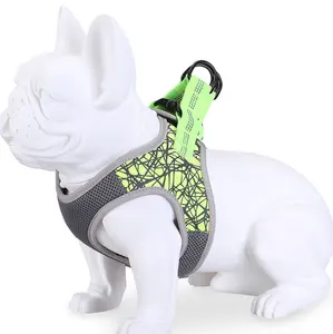Amazon new trend brand out collar traction rope pet supplies factory wholesale pet chest back and leashes