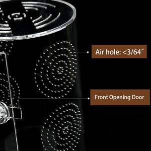 Enceinte acrylique sautant araignée <span class=keywords><strong>insecte</strong></span> Terrarium pour petit arbre habitation Reptiles boîtes de rangement bacs - Product Image 6