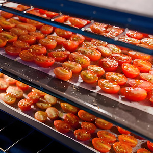 Déshydrateur alimentaire commercial multifonctionnel de grande capacité pour fruits, légumes, saucisses, viande, poivrons, fruits de mer - Product Image 2