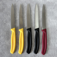 Couteau à steak classique de cuisine à lame dentelée en métal avec manche en plastique, lot de 6 couteaux utilitaires et à éplucher en acier inoxydable