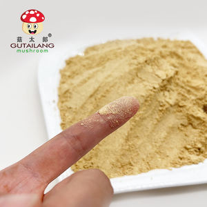 Wholesale <strong>Lions</strong> <strong>Mane</strong> <strong>Mushroom</strong> Powder Factory 100% Organic <strong>Lion's</strong> <strong>Mane</strong> <strong>Mushroom</strong> Powder Hericium Erinaceus Powder <strong>Lion</strong> <strong>Mane</strong> Powder - Product Image 1