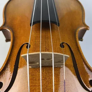 4/4 골동품 이탈리아 독일어 루마니아 유럽 바이올린 전문 손으로 만든 온실 바이올린