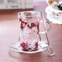 Tasse à café moderne en verre borosilicate à double paroi, avec fleurs séchées naturelles, soucoupe et cuillère, idéale pour les cadeaux