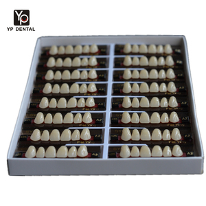 YP 2 couches OEM multicouche <span class=keywords><strong>dentaire</strong></span> acrylique résine dents <span class=keywords><strong>pour</strong></span> prothèses dentaires résine synthétique acrylique dents <span class=keywords><strong>prothèse</strong></span> <span class=keywords><strong>dentaire</strong></span> - Product Image 6