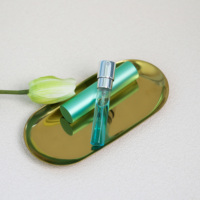 Mini flacon pulvérisateur de parfum en aluminium rechargeable, atomiseur de voyage vide avec pompe pour huiles essentielles et soins de la peau