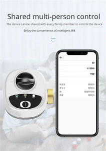EweLink wifi thông minh van nước gas ngắt cho DN15/DN20/DN25 app điều khiển không dây hẹn giờ báo động tự động hóa liên kết van Alexa - Product Image 5