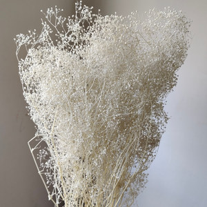 Novità 2022 Mini Gypsophila Elegans Fiori Freschi e Stabilizzati Bianchi e <span class=keywords><strong>Rosa</strong></span> per Matrimoni Festa della Mamma e Natale - Product Image 4