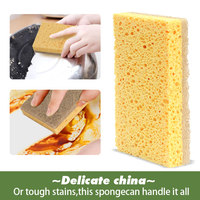 Éponge de nettoyage biodégradable réutilisable super absorbante en cellulose de pulpe de bois et fibres de coco naturelles, très bien cotée