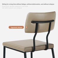 Chaise de salle à manger minimaliste moderne pour la maison, les cafés, les entreprises, les loisirs, le luxe léger, chaise de réception commerciale, style européen et américain