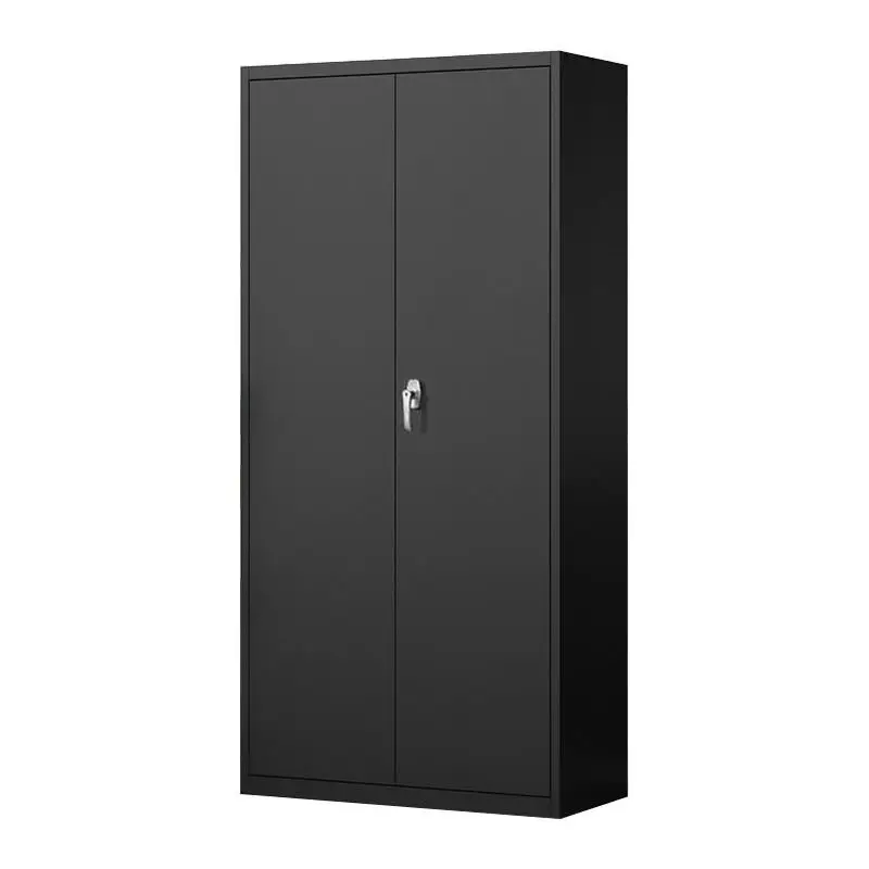 High quality metal cabinets knock-down structure cheap 2 door steel storage file cupboard