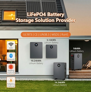 Batería de Litio Personalizada con Logotipo, 48V 51.2V 100Ah 200Ah, BMS, 5kWh 10kWh 15kWh, para Rack de Servidores, Almacenamiento de Energía Solar para el Hogar, Batería LiFePO4 - Product Image 5