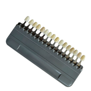 Guide de teinte en résine 16 couleurs pour l'association des couleurs dentaires, accessoires de matériel dentaire transfrontalier en gros - Product Image 2