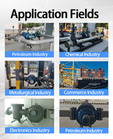 LLTW Series Helical Rotor Oil Flow Meter 0.2% High Accuracy Flange Connection Cast Steel/Stainless Steel Explosion Proof