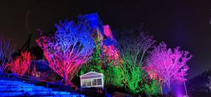 Ip65 Rated Dyed <b>Tree</b> <b>Lights</b> Led Decorative Lighting <b>For</b> <b>Outdoor</b> Parks, Gardens, <b>Christmas</b>, And Festival Events - Product Image 1