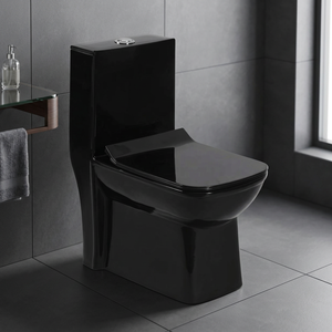 WC monobloc en céramique noir brillant, à poser au sol, design moderne, sanitaires pour salle de bain - Product Image 1