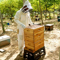 Nouvelle ruche Menger Bee à 3 couches, en métal et bambou, avec 10 cadres Langstroth, non assemblée, à joint queue d'aronde, pour apiculture