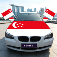 Drapeau de fenêtre de voiture personnalisé de Singapour, double face, en polyester épais, impression numérique, décoration de véhicule pour la promotion d'événements sportifs