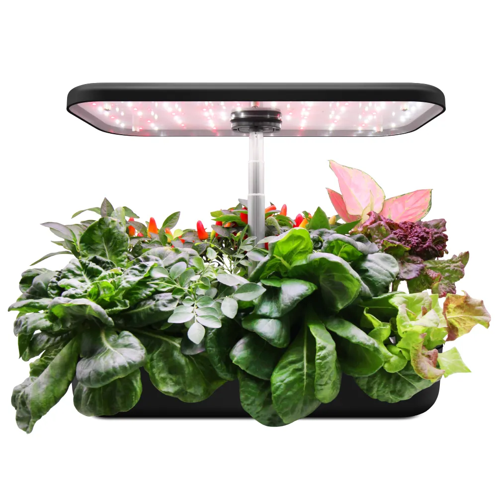 Kit sistema di coltivazione idroponica per interni portatile autoirrigante fioriera intelligente Desktop idroponica Herb Garden