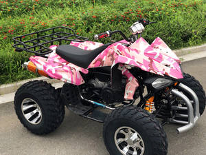 <span class=keywords><strong>Quad</strong></span> 4 roues camouflage <span class=keywords><strong>rose</strong></span>, 4 temps, tout-terrain, avec porte-bagages arrière pour loisirs en plein air, 200cc ATV - Product Image 5