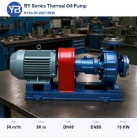 Pompa Oli Termal Berpendingin Udara RY80 50 200 50 M3H 50 M 15 KW Pompa Transfer Oli Panas Dengan Motor untuk Pabrik Petrokimia