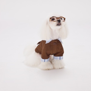Fabricante OEM ODM de Ropa de Lujo para Perros, Servicio Personalizado de Chalecos de Lana y Forro Polar para Todas las Estaciones, Maltese - Product Image 5