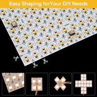 Feuille lumineuse LED flexible bicolore CCT 2700+6500K réglable, SMD2835, feuille de rétroéclairage LED flexible double blanc
