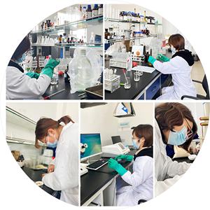 Suplementos en polvo de proteína de suero para adultos Múltiples sabores para una nutrición deportiva óptima - Product Image 5