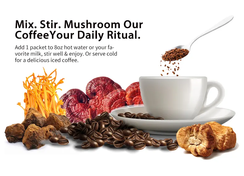 OEM/ODM kustomisasi pabrik klasik Espresso jamur campuran kopi singa reishi chaga Harga terbaik untuk minuman jamur