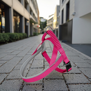 <strong>French</strong> <strong>Bulldog</strong> Pet Vest <strong>Harness</strong> 3M Reflective Breathable Easy Adjust Nylon Handle Breakaway Feature Easy On-Off Halters Training - Product Image 6