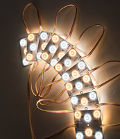 Module LED couleur Dural CCT Ajuster Tunable White 6LED 2700k 6500K DC24V Lentille publicitaire Module LED étanche pour boîte à lumière